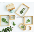 High Quality Modern Double glass 4x6 Natural wood leaf Plant Herbarium Dried Pressed Flowers floating picture frame